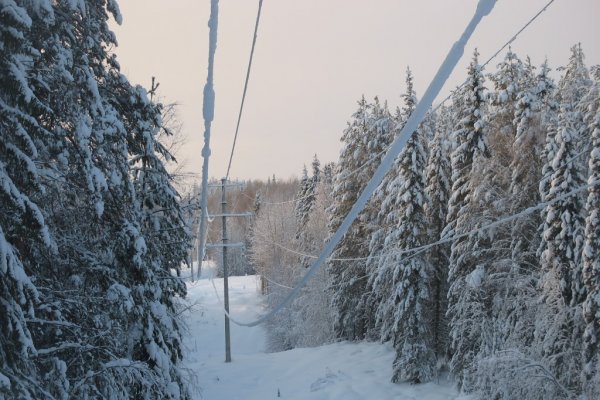 Специалисты филиала Комиэнерго принимают превентивные меры по устранению снегоналипания на линиях электропередачи