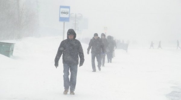 В Воркуте из-за погоды отменены занятия в школах и закрыта дорога