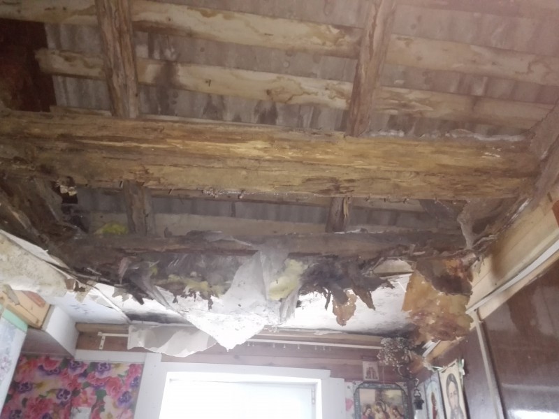 В Выльгорте в квартире аварийного дома обрушился потолок 