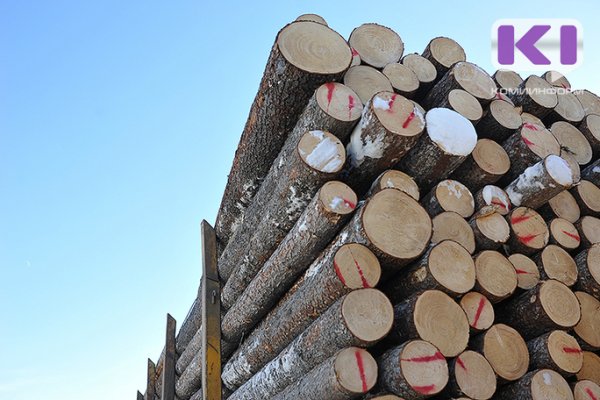 В Ижемском районе незаконно вырубили около 400 кубометров леса