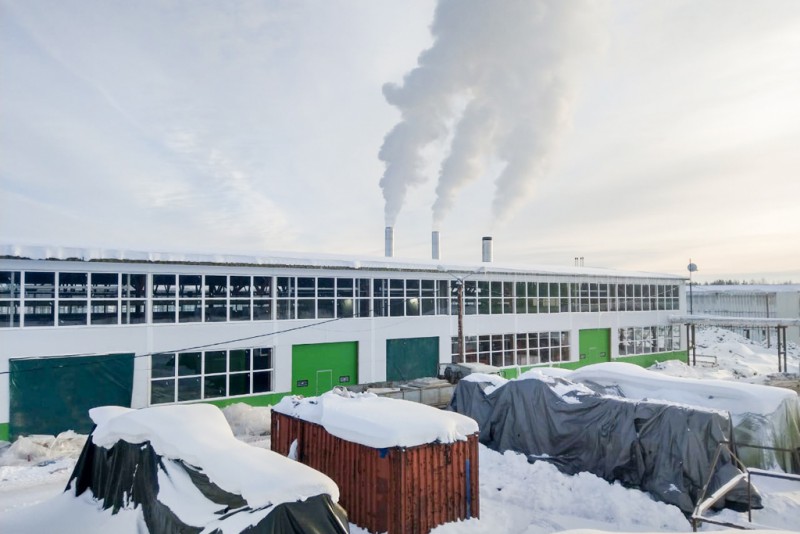 Тепличный комплекс в Сосногорске приступит к производству овощей в мае