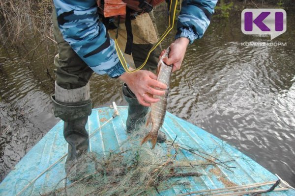 В Коми ограничат сроки вылова рыбы, а некоторые реки Коми закроют для рыболовства