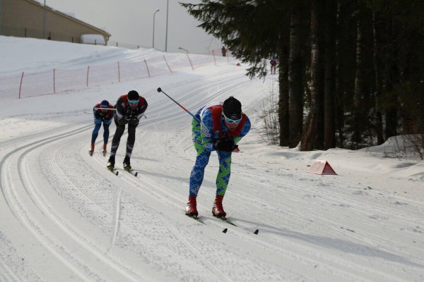 Чемпионат Росгвардии по лыжным гонкам соберет в Коми участников Олимпиады