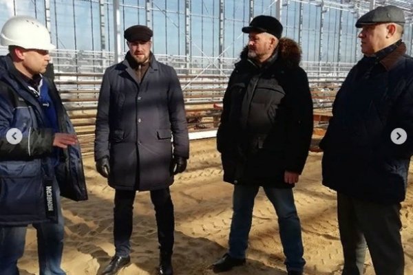 В конце марта в Сосногорских теплицах высадят первую рассаду