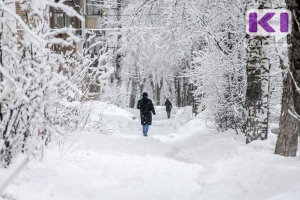 В Сыктывкаре за ночь выпала треть месячной нормы снега