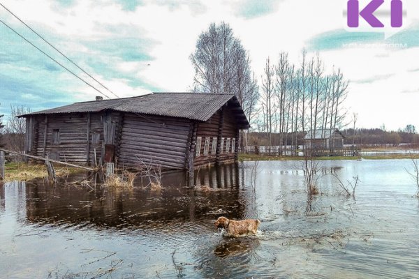 Паводок в Коми: какие реки в зоне риска