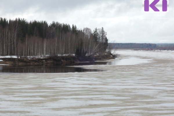 На реке Илыч в Коми утонул 63-летний мужчина