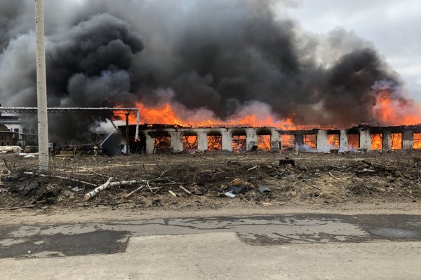 МЧС по Коми назвало предварительную причину крупного пожара на СЛДК