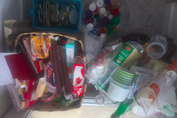 Сыктывкарская экоактивистка рассказала, как правильно накапливать и сортировать мусор дома