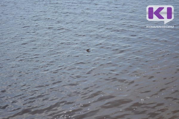 На реке Луза Прилузского района ищут утонувшего рыбака