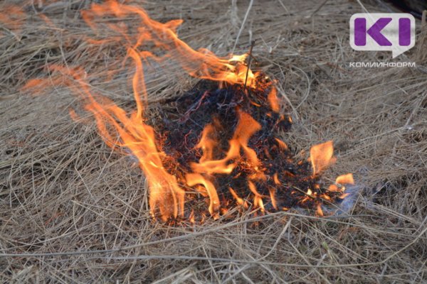 В черте Сыктывкара вновь горела сухая трава вблизи домов