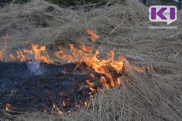 В Корткеросском районе огонь уничтожил сарай и траву на площади 1200 кв. метров