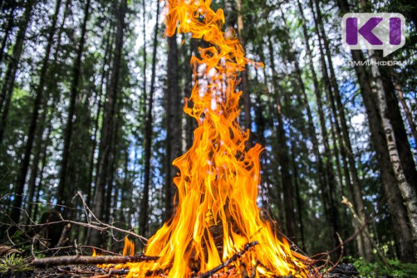В Корткеросском районе горит лес 