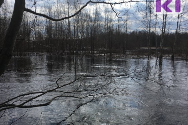 В Коми уровень воды на реке Цильма превысил уровень неблагоприятной отметки