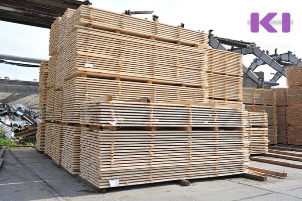Коми впервые за десять лет заготовила больше 9 млн кубометров древесины 