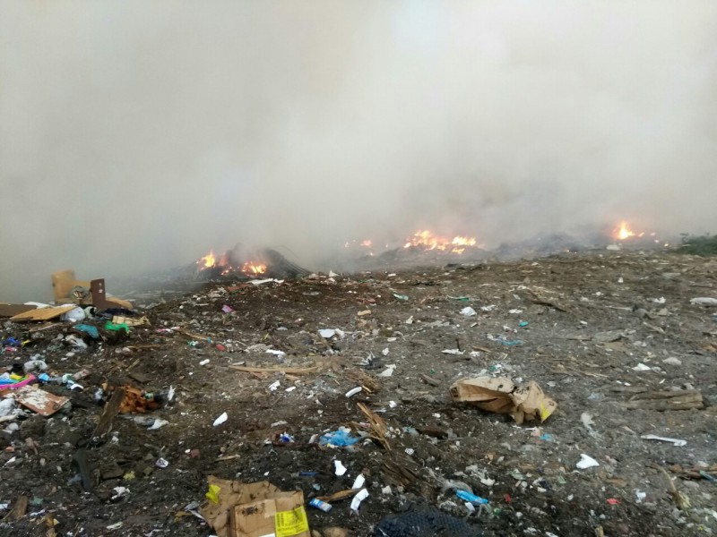 За прошедшие сутки пожарные Коми четыре раза выезжали на возгорания мусора