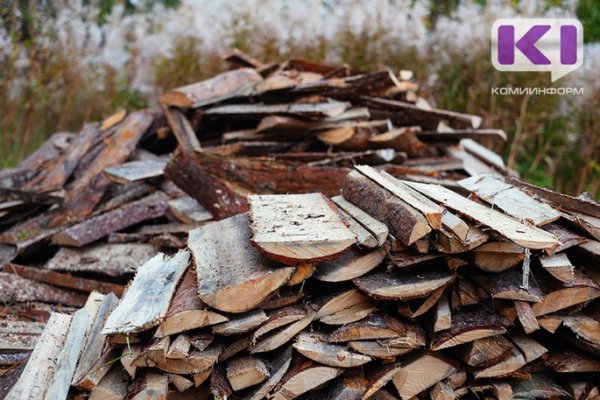 Житель Усть-Цильмы незаконно вырубил 10 сосен