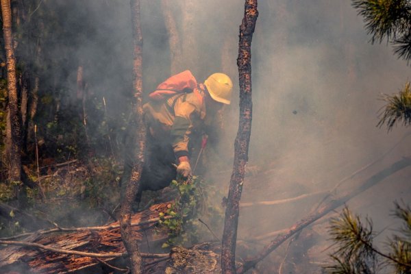 Авиалесоохрана предупредила об угрозе лесных пожаров в Коми