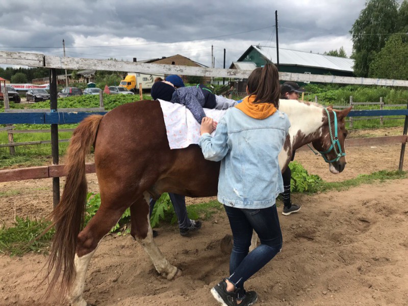 Конь Княж лечит детей Коми от аутизма, паралича и артрита