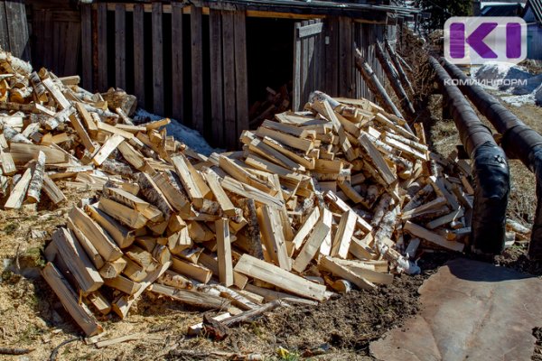 Откуда дровишки: министр природных ресурсов Коми поднял проблему вырубки леса для личных нужд