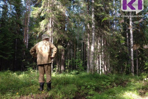 В лесу Троицко-Печорского района заблудились дедушка с внучкой