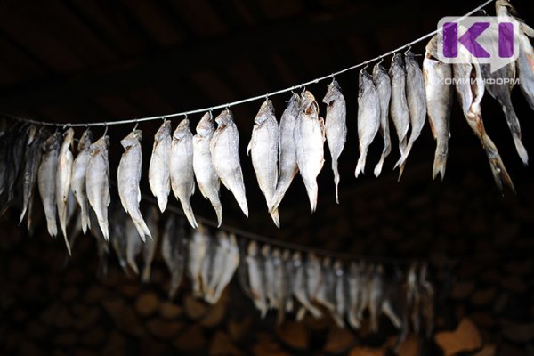 В Коми у войсковой части похитили рыбную продукцию на 364 тысячи рублей