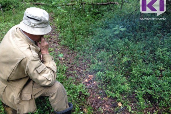 Сыктывкарские спасатели вывели из леса заблудившихся пенсионеров