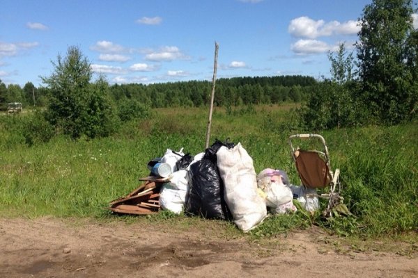 Регоператора Коми просят решить проблему сбора мусора в селе Богородск