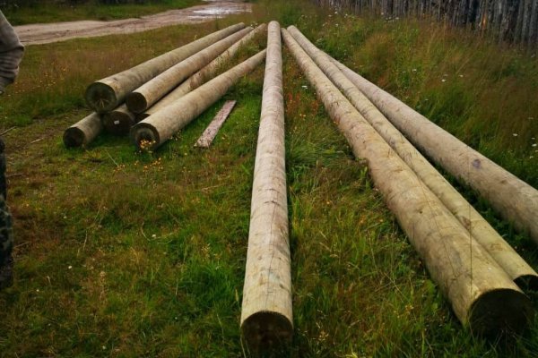 Полтора километра провода похитили с действующей ЛЭП в Троицко-Печорском районе 