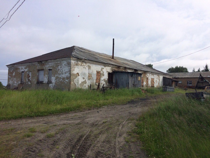 ОНФ в Коми призвал сохранить единственную баню в поселке Новый Бор

