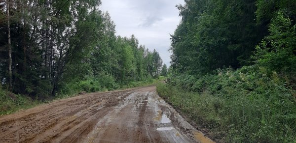 ОНФ в Коми взял на контроль ремонт дороги в Сысольском районе

