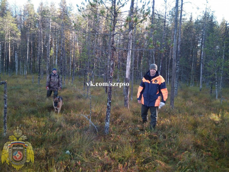 В Коми 78-летний грибник четыре дня плутал по лесу