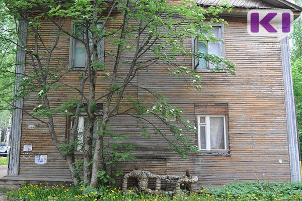Полмиллиона рублей потратят на обрезку и вырубку аварийных деревьев в Сыктывкаре