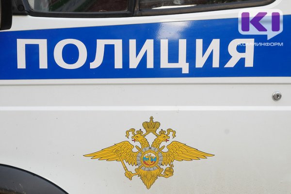 Полиция Сысольского района организовала проверку по факту убийства домашней собаки