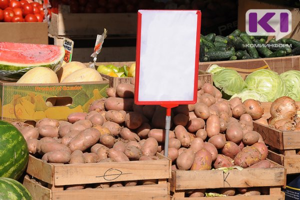 Из девяти муниципалитетов в Коми запрещено вывозить зараженный картофель