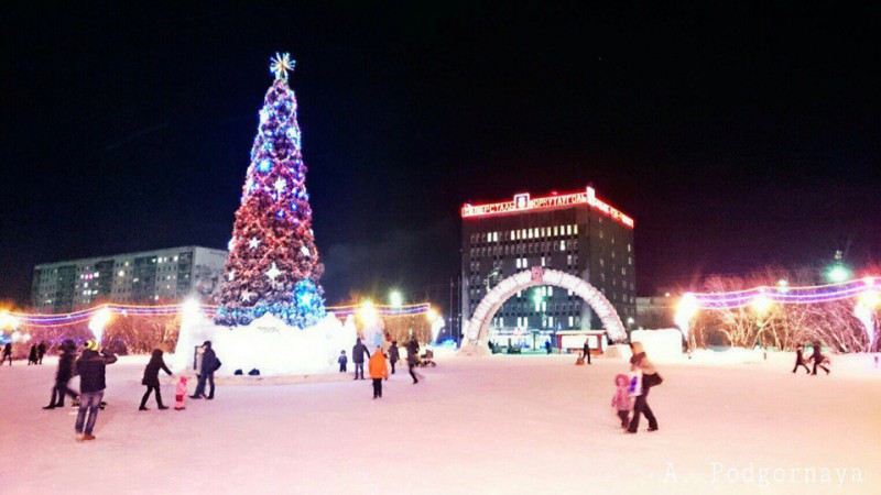 Администрация Воркуты вернет новогоднюю елку продавцу 