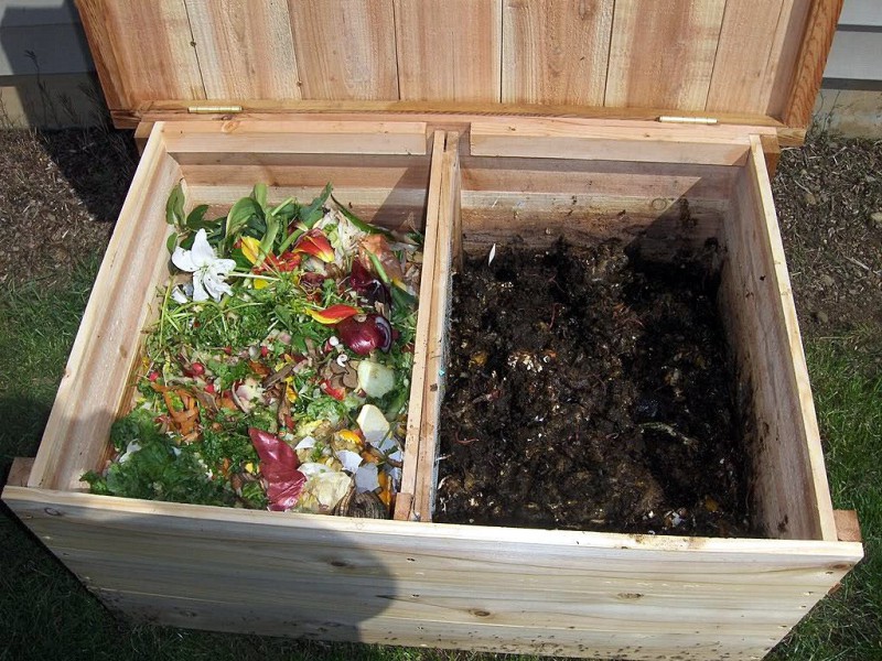 Росприроднадзор Коми предлагает ввести компостирование пищевых отходов в садиках и школах 