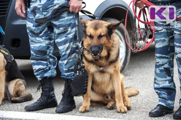 В Ижемском районе служебная собака взяла след похитителя яблок и брусники