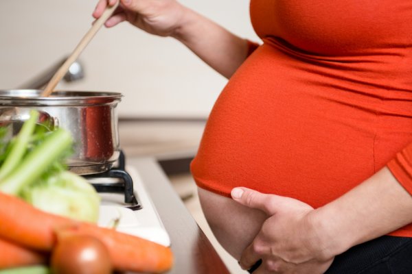 Бюджет-2020: в Коми на пособие на питание для беременных и малоимущих кормящих матерей направят 67 млн рублей