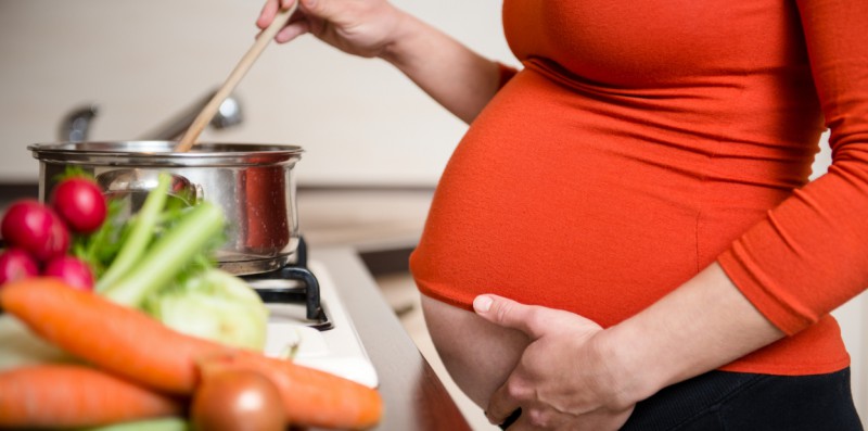 Бюджет-2020: в Коми на пособие на питание для беременных и малоимущих кормящих матерей направят 67 млн рублей