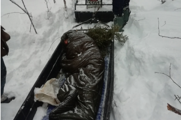 В Сосногорском районе местный житель три дня блуждал по лесу в тапочках 