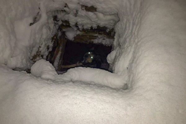 Жители Максаковки спасли провалившуюся в яму собаку 