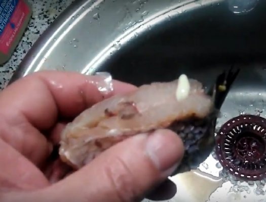 Житель Сыктывкара обнаружил в деликатесной рыбе паразитов
