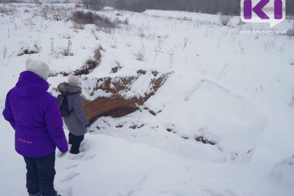 Минприроды Коми не увидело нарушений при разработках песчаного карьера в Усть-Вымском районе