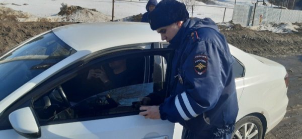 Автоинспекторы Сыктывкара выявили более тысячи нарушений во время операции 