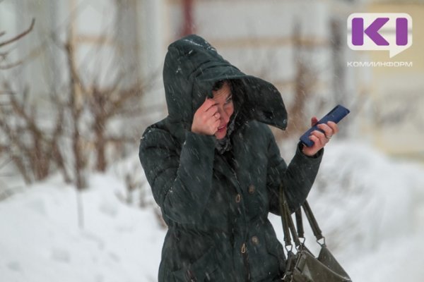 Жителей северо-востока Коми предупреждают о сильном ветре