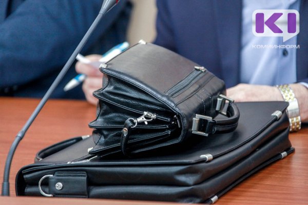 На Удоре шесть депутатов районного совета заработали в 2019 году свыше 1 млн рублей