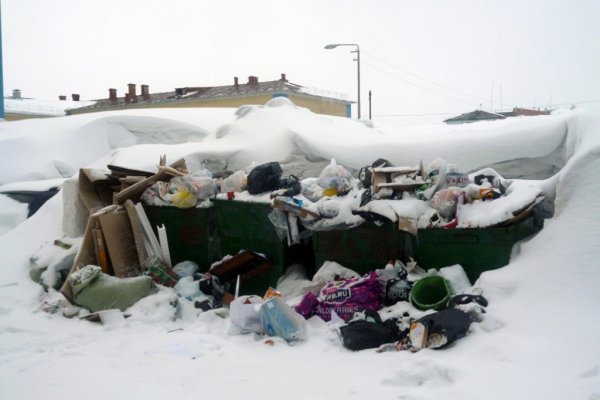 Начальник филиала РЖД в Воркуте ответил за грязные площадки для мусора 