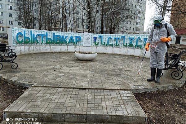 В Сыктывкаре обеззараживают скверы и бульвары