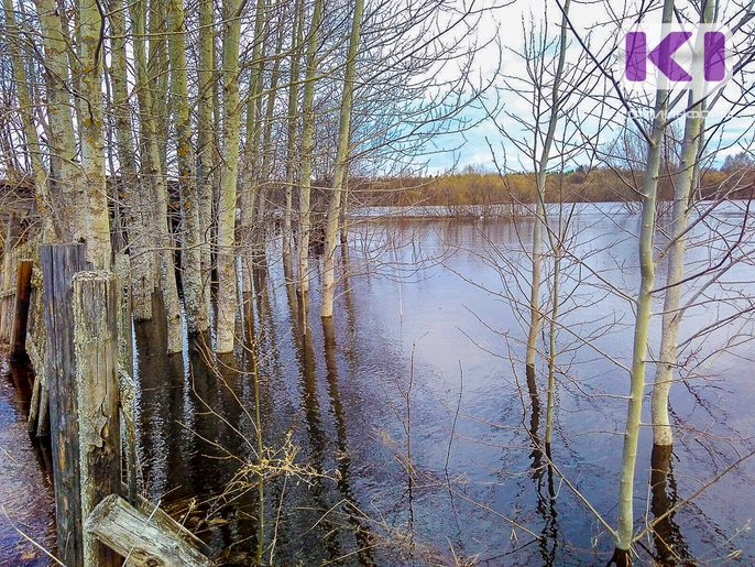 В Коми обследуют опасные участки реки Печора

